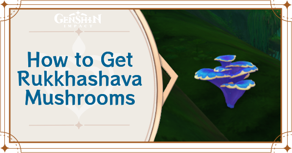 Genshin Impact - Rukkhashava Mushrooms Locations and How to Use