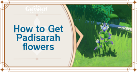 Genshin Impact - Padisarah Locations and How to Use