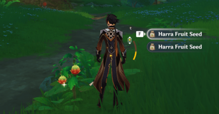 Genshin - Harra Fruit out in the wild