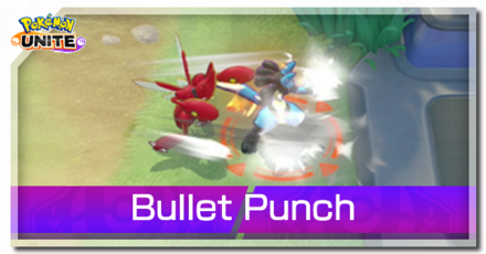 Pokemon UNITE - Bullet Punch Banner