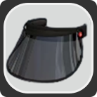 Face Visor