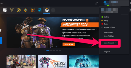 Overwatch 2 - View Account
