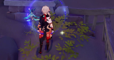 Genshin Impact Mysterious Clipboard #11 Location 2