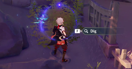 Genshin Impact Mysterious Clipboard #11 Location 4