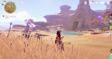 Genshin Impact Mysterious Clipboard #13 Walkthrough 2