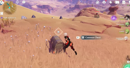 Genshin Impact Mysterious Clipboard #13 Walkthrough 4