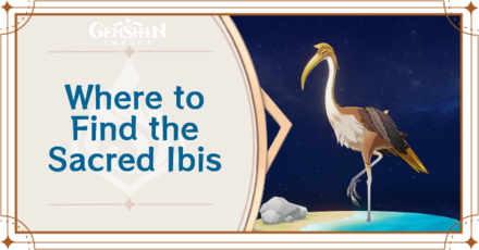 Genshin Impact - Where to Find Sacred Ibis and Basic Information
