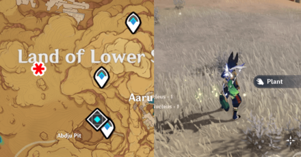 Genshin - Golden Rose Seeds Planting Location