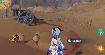 Genshin - Scarab 5,6 Location
