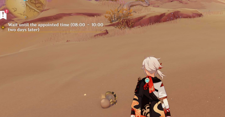 Genshin - Scarab 14 Location