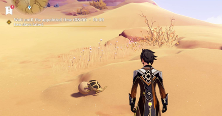 Genshin - Scarab 16 Location