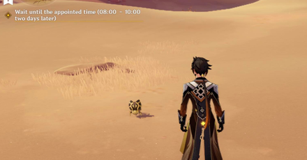 Genshin - Scarab 32 Location