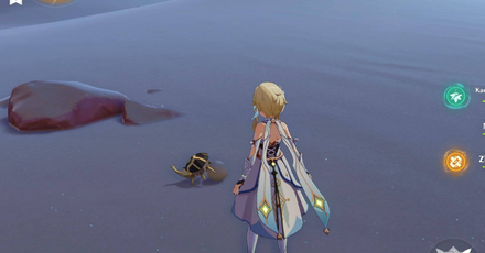 Genshin - Scarab 29 Location