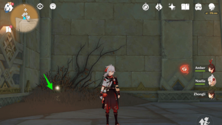 Genshin - Scarab 16 Location