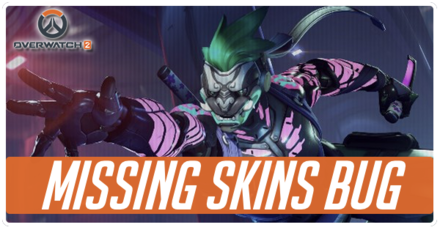 Overwatch 2 - Missing Skins Bug Banner