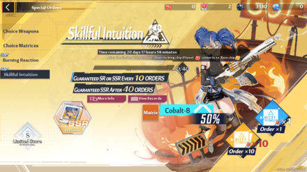 Skillfull Intuition.png