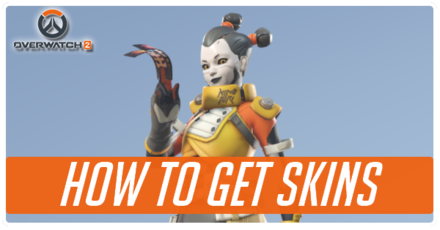 How to Get Skins Banner