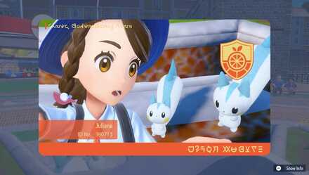 An Updated Trainer Card