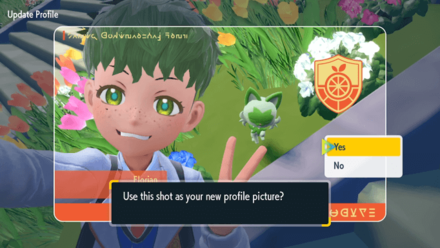 Set Your Profile Picture