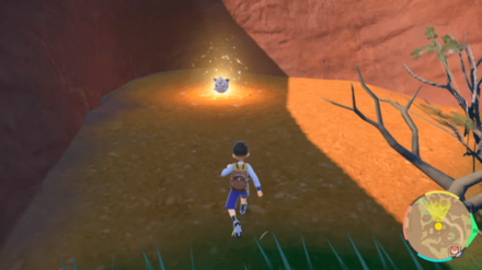 Pokemon Scarlet and Violet SV - Glowing Wild Tera Pokemon