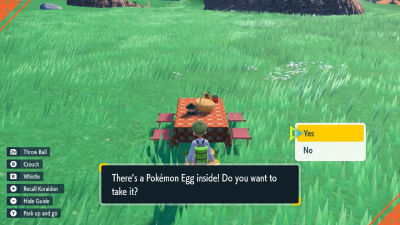 Pokemon Scarlet & Violet SV - Picnic Egg Discovery