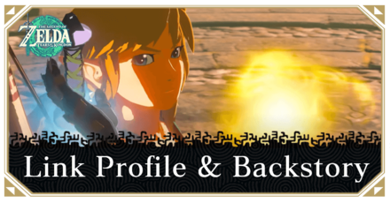 Link Profile And Backstory The Legend Of Zelda Tears Of The Kingdom Game8