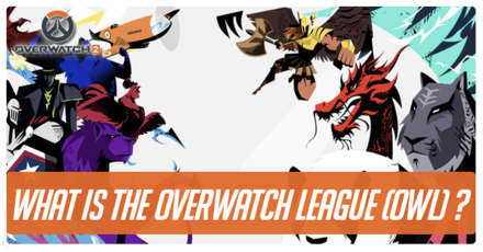 Overwatch 2 - What is the Overwatch League (OWL) Banner