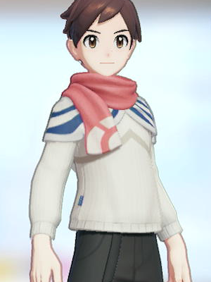 Matching Top (Greninja) Preview