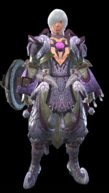 Risen Mizuha Armor Set (Male)