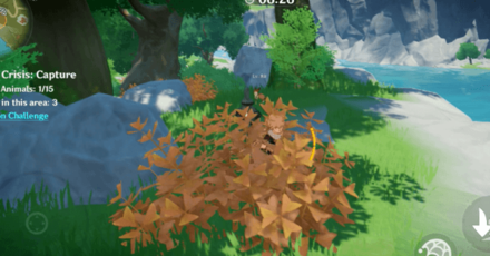 Genshin - Autumn Crisis Day 2 - Special Bushes