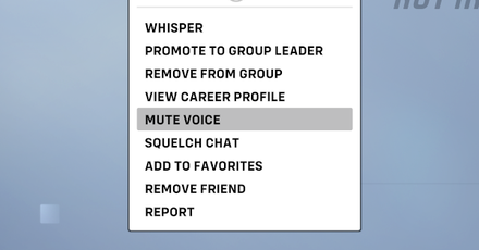 Overwatch 2 - Mute Voice Chat