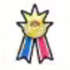 Pokemon Scarlet and Violet SV Galar Champion Ribbon