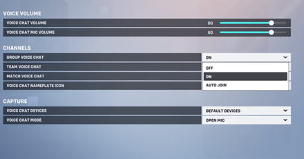 OW2 - Can Be Disabled Under Voice Chat