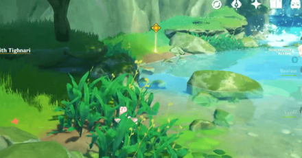 Genshin Impact - Chronic Illness Quest Walkthrough - Collect Herbs Together With Tighnari