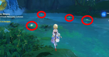 Genshin Impact - Chronic Illness Quest Walkthrough - Collect Fresh Nilotpala Lotus