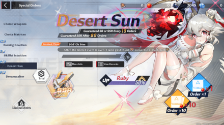 Desert Sun Banner