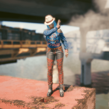 Cyberpunk 2077 - Hard Pass