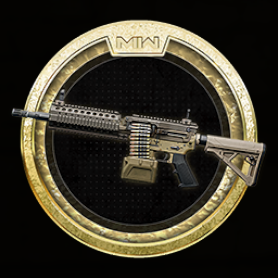 556 Icarus Mastery: Gold