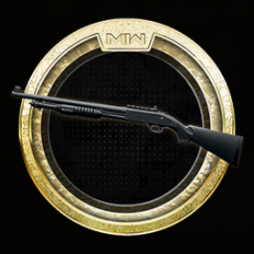 Bryson 800 Mastery: Gold