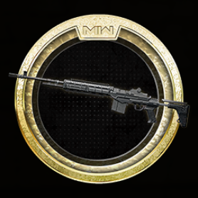 EBR-14 Mastery: Gold