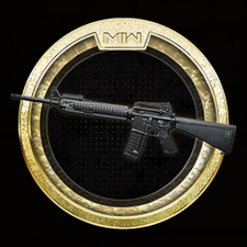 M16 Mastery: Gold