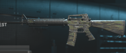 Modern Warfare 3 (MW3) - Dank Forest