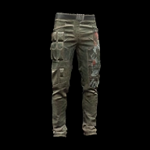 Worn Cargo Pants