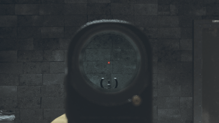 MW3 - Corvus SOL-76 Reticle View