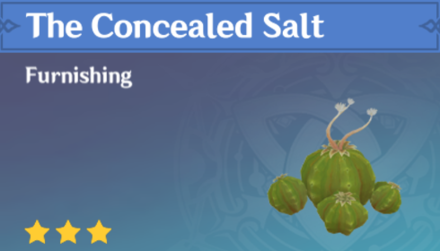 Genshin Impact - How to Get The Concealed Salt Furnishing