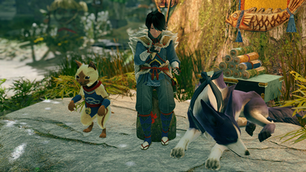 MH Rise Sunbreak - Buddy Handler Iori Location.png