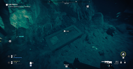 Modern Warfare 2 - Low Profile Intel 18