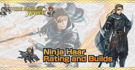 FEH Ninja Haar Banner
