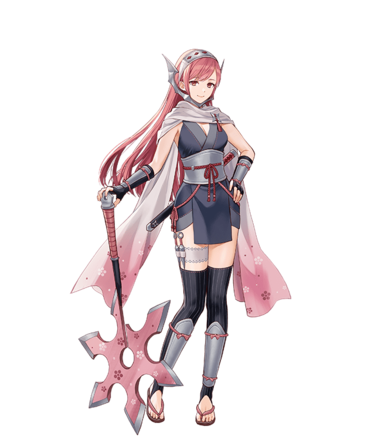 Ninja Cherche.png