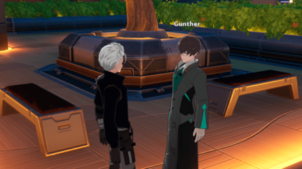 Online Ringer Step 1